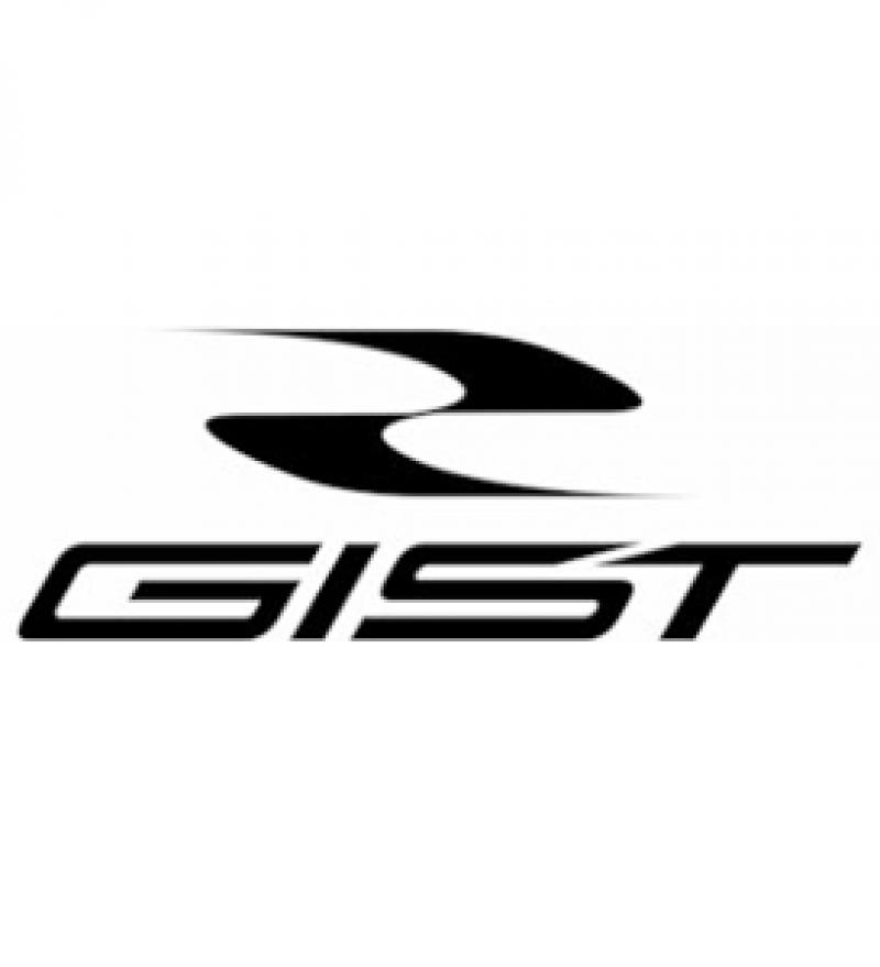 Gist Italia bike component